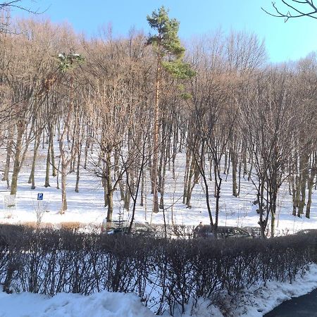 Artstudio Braşov Dış mekan fotoğraf