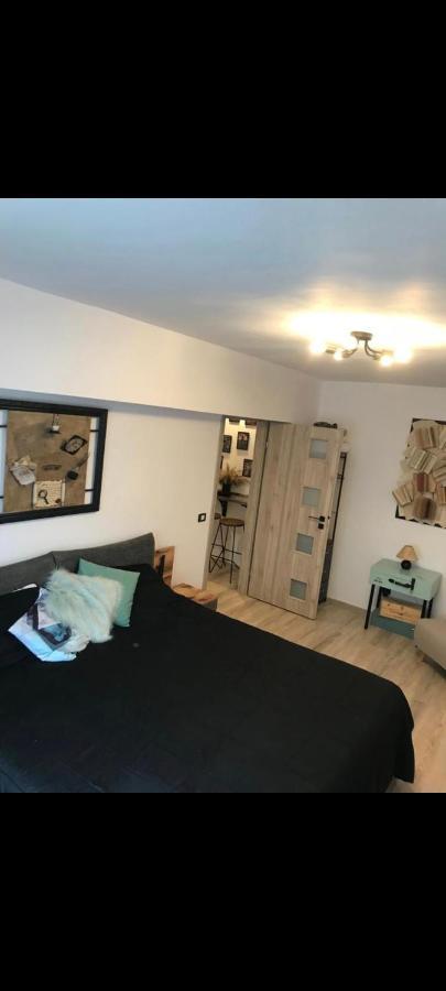 Artstudio Braşov Dış mekan fotoğraf